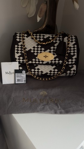 Mulberry medium lily - mulberry,