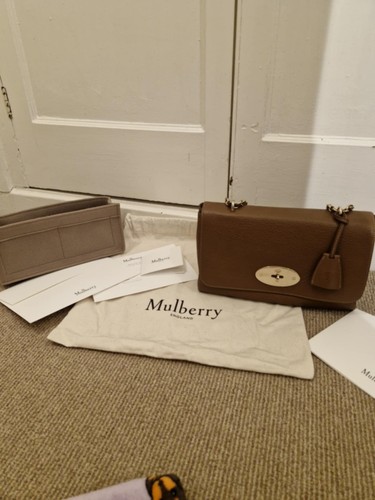 Mulberry medium lily - lily, in