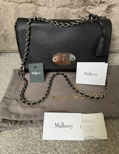 Mulberry medium lily - medium, lily.