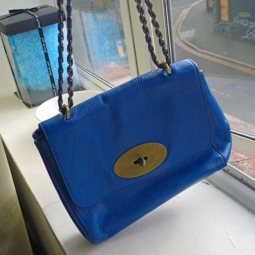 Mulberry lily medium blue - medium,