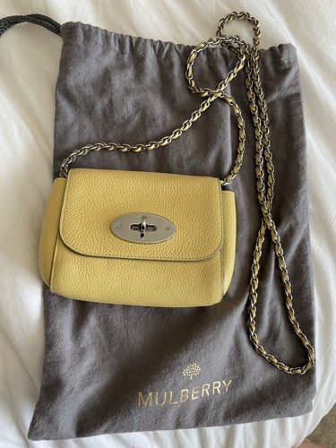 Mulberry mini lily - lily, in